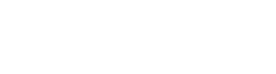 Weapon Magnet Logo